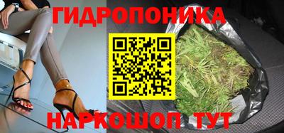 винт Кингисепп