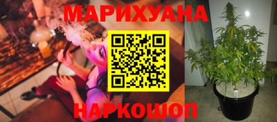 шишки Кимры
