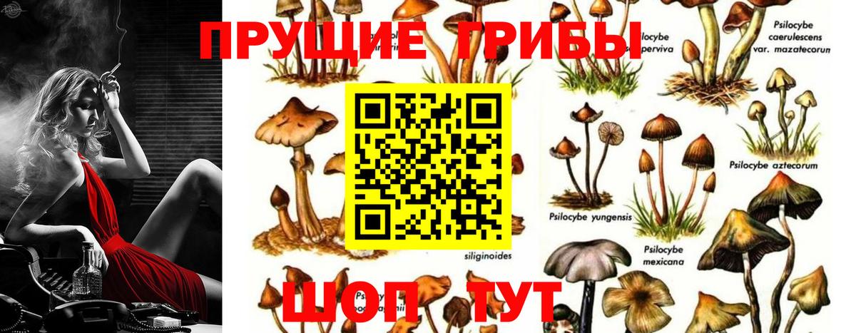 Галлюциногенные грибы Magic Shrooms Киров
