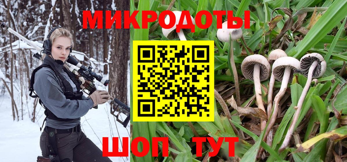 Галлюциногенные грибы MAGIC MUSHROOMS  где можно купить наркотик  Вход с VPN  Киров  Псилоцибиновые грибы Magic Shrooms 